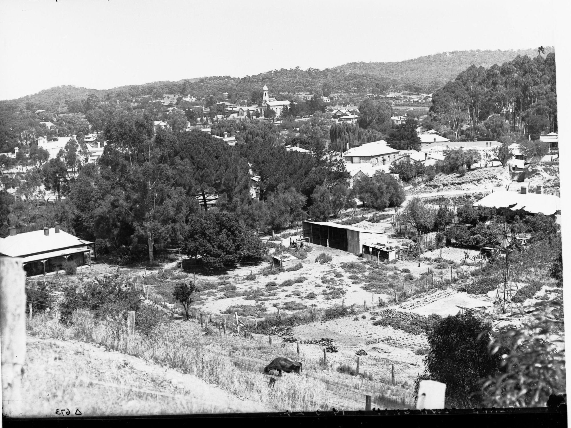 Clare Township