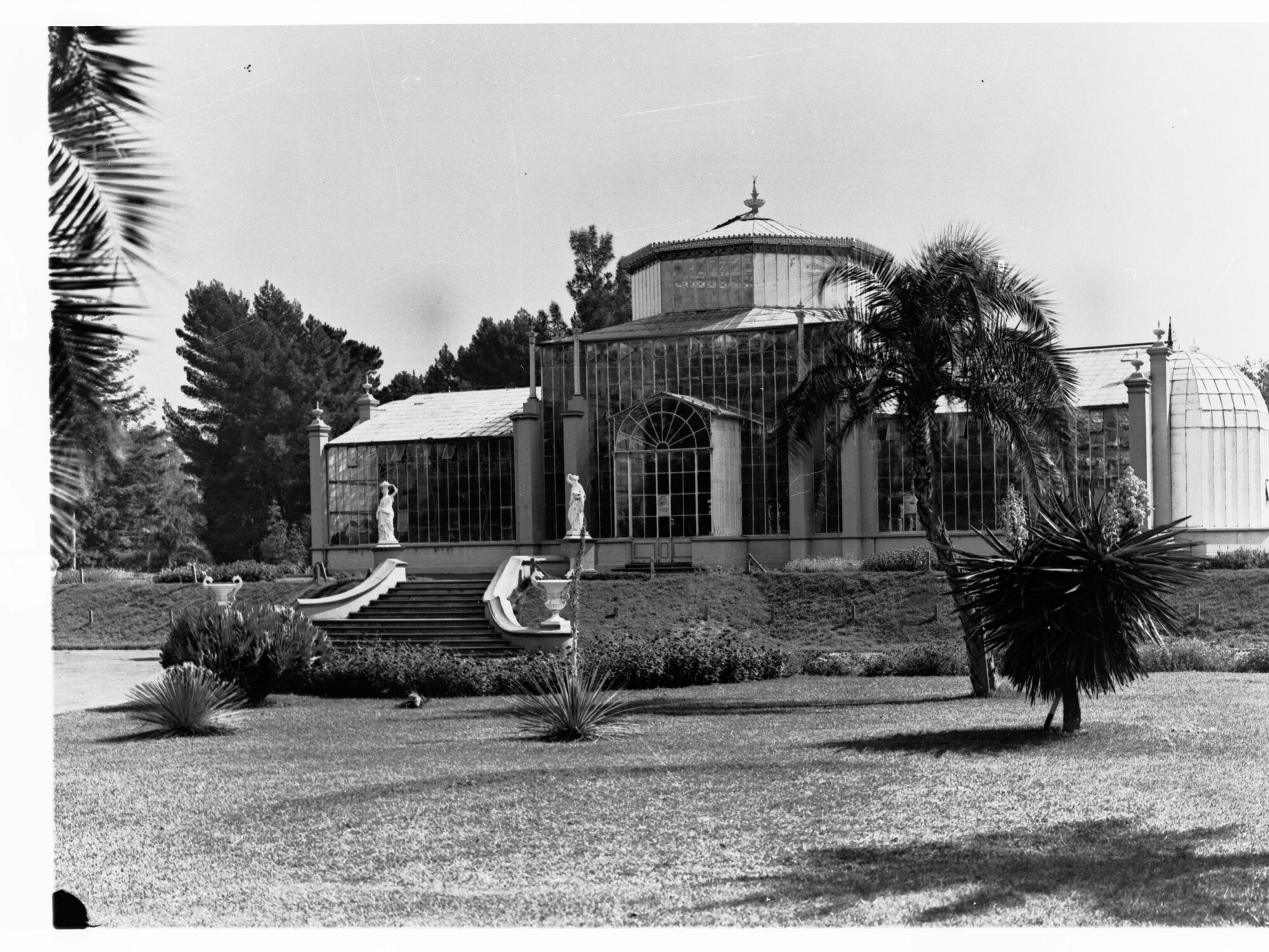 Hot House at the Botanical Gardens