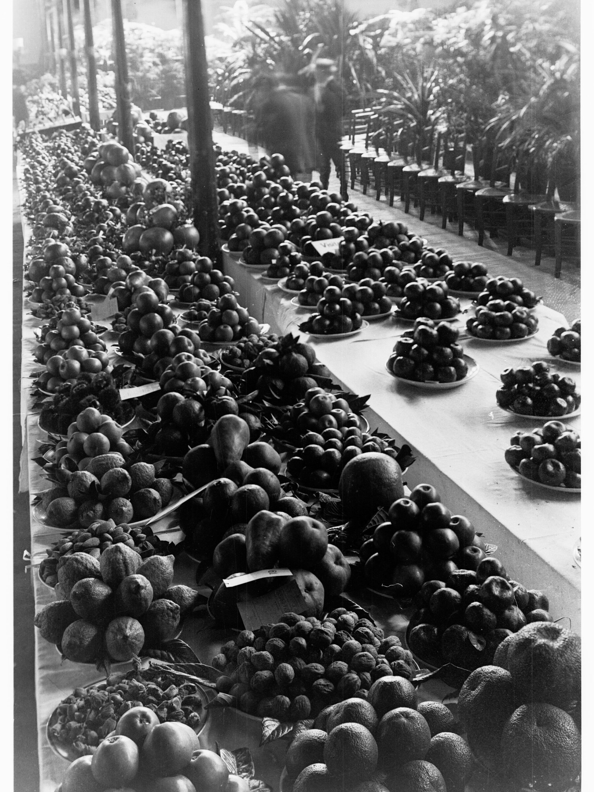 Fruit and Nut Exhibition at Royal Adelaide Show