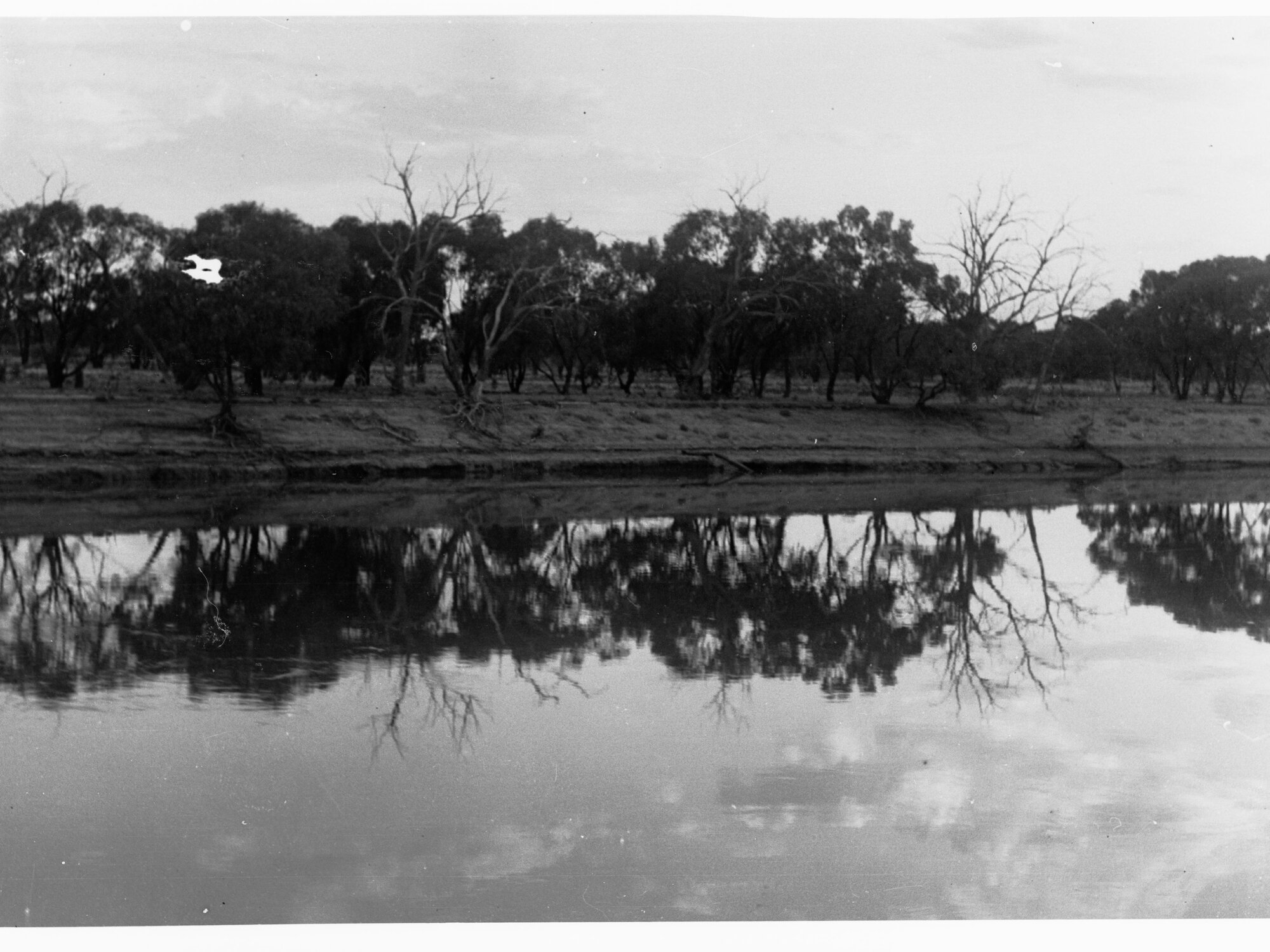 River Murray View