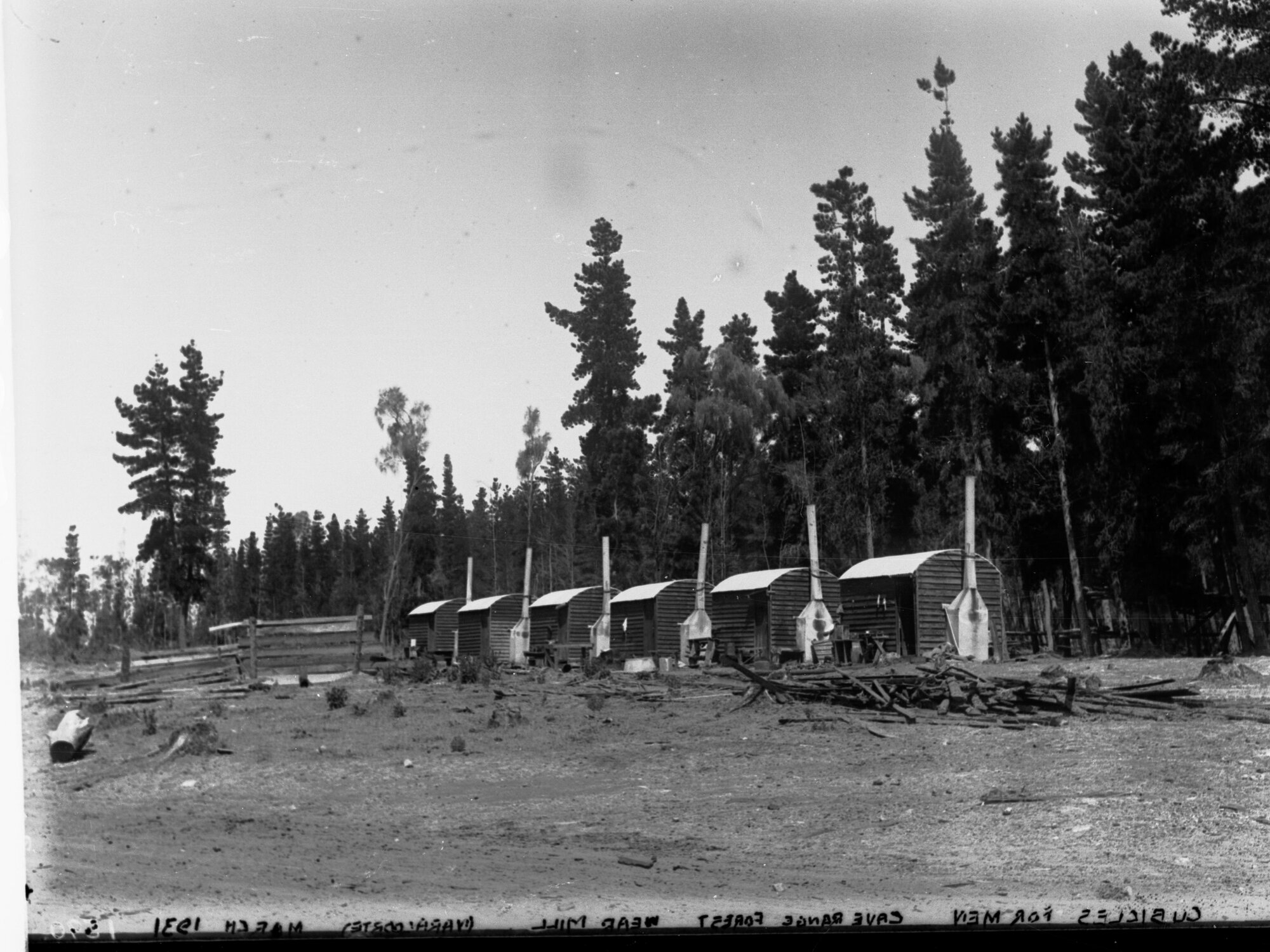 Cubicles for Men Cave Range Forest Near Mill at Naracoorte