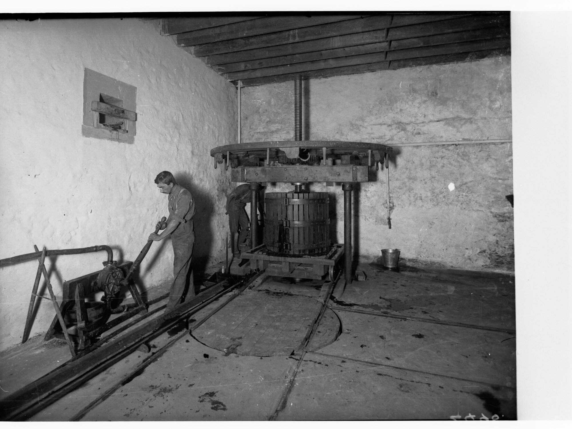 Wine press, Auldana Winery