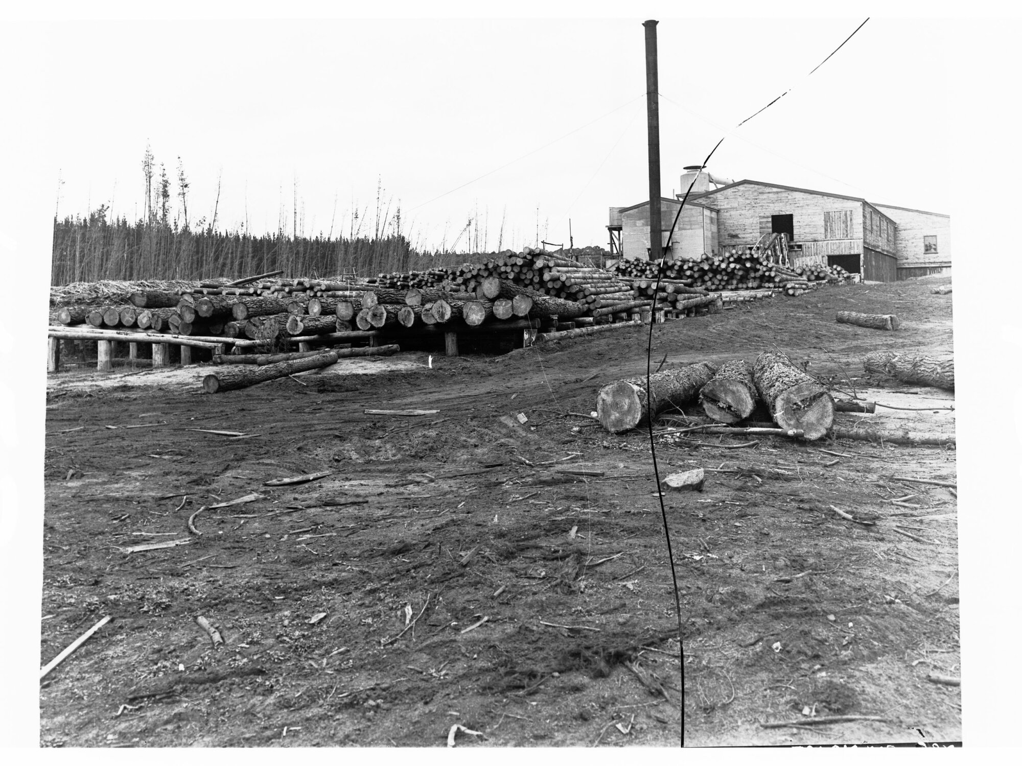 Timber Mill at Mount Burr Showing Piles of Logs and Buildings