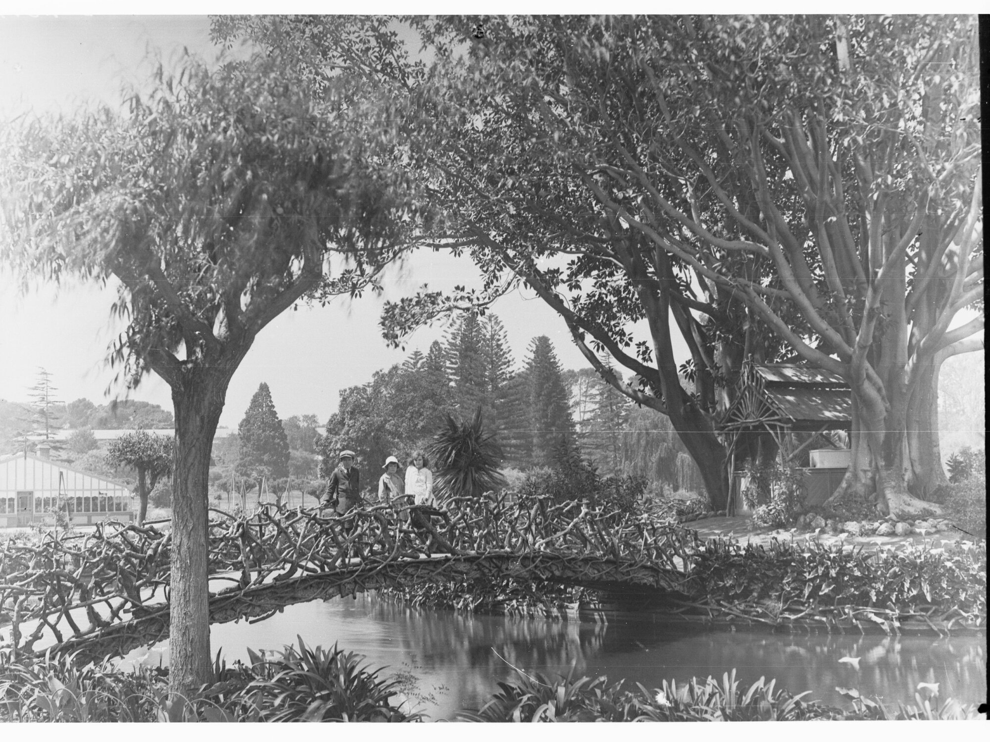 Botanic Gardens, Children on bridge