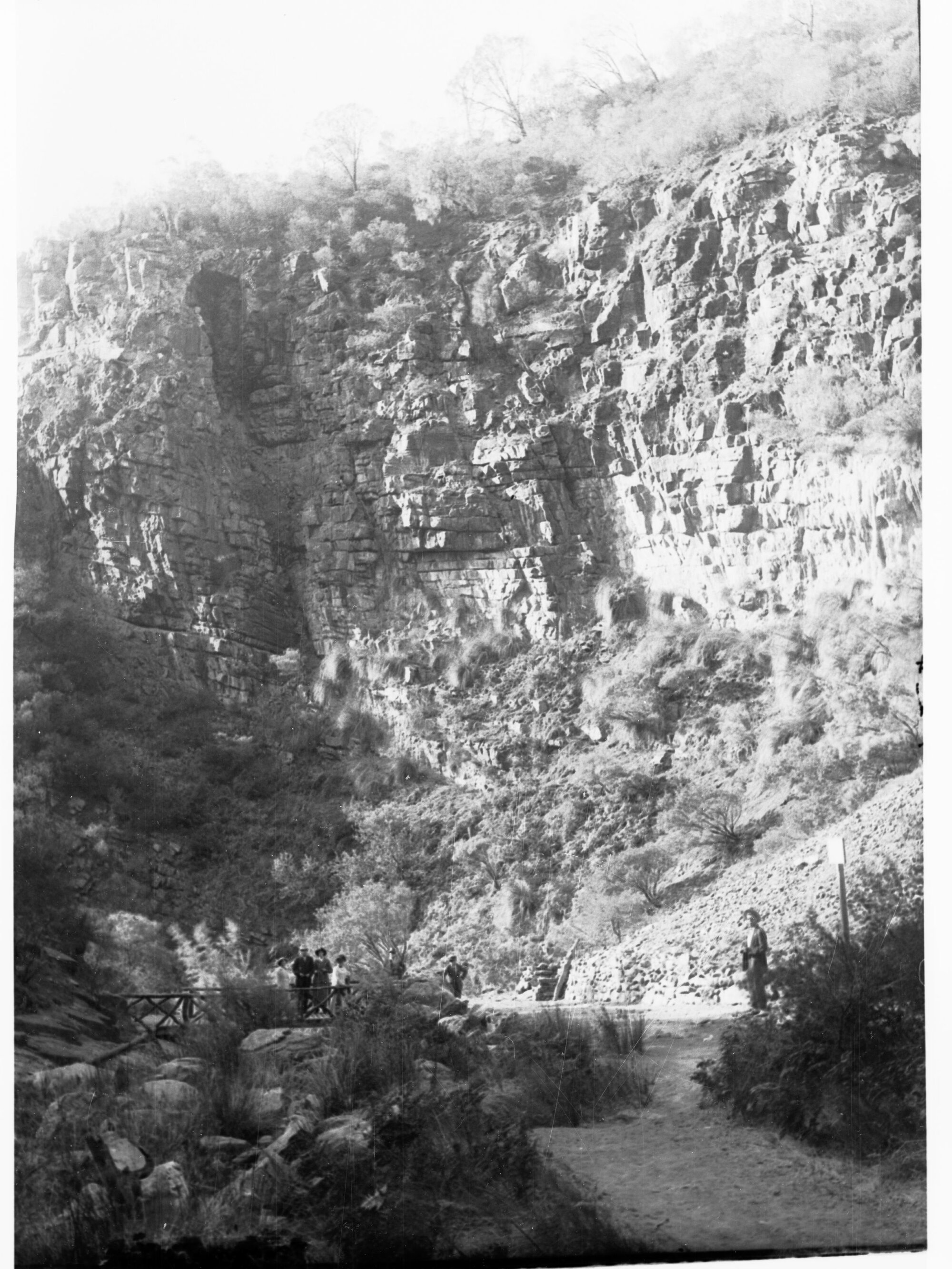 People on a bridge at Morialta Reserve