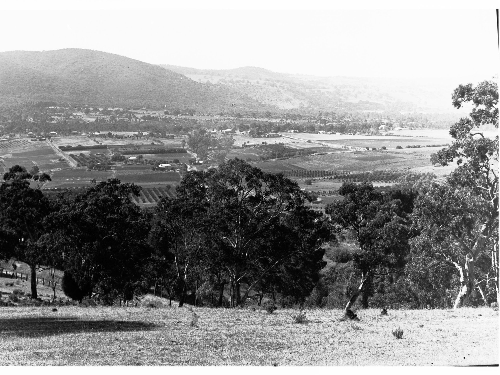 Athelstone from Highbury