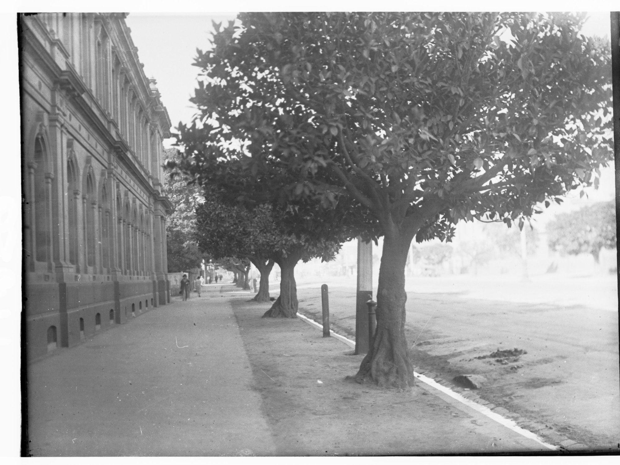 Wakefield Street, Government offices on left