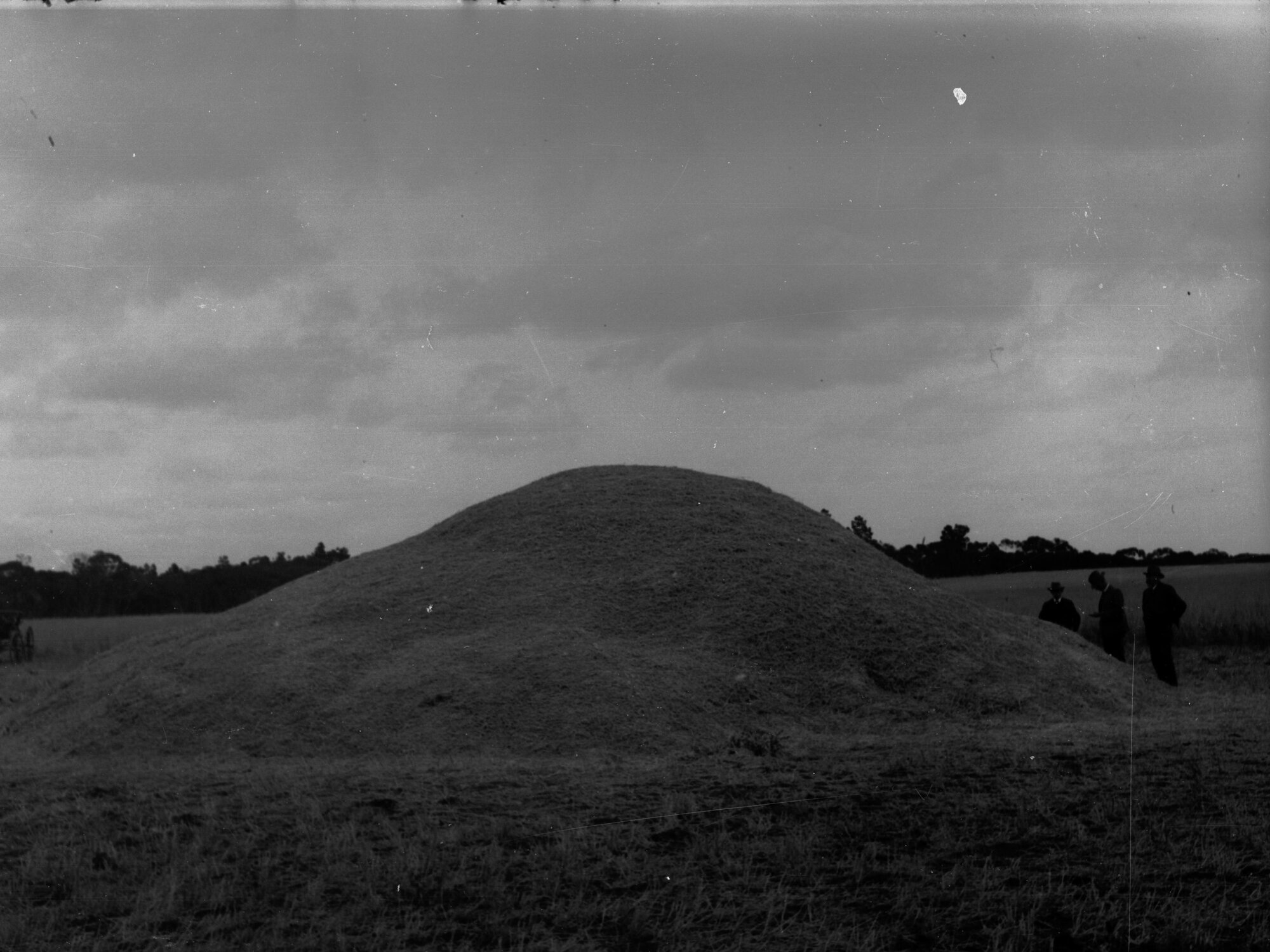 Pinnaroo, heap of stripped wheat