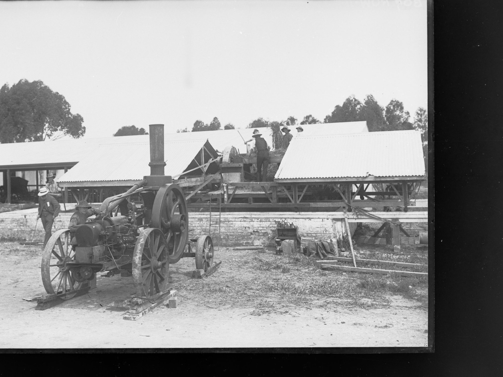 Hay Making at Roseworthy Agricultural College
