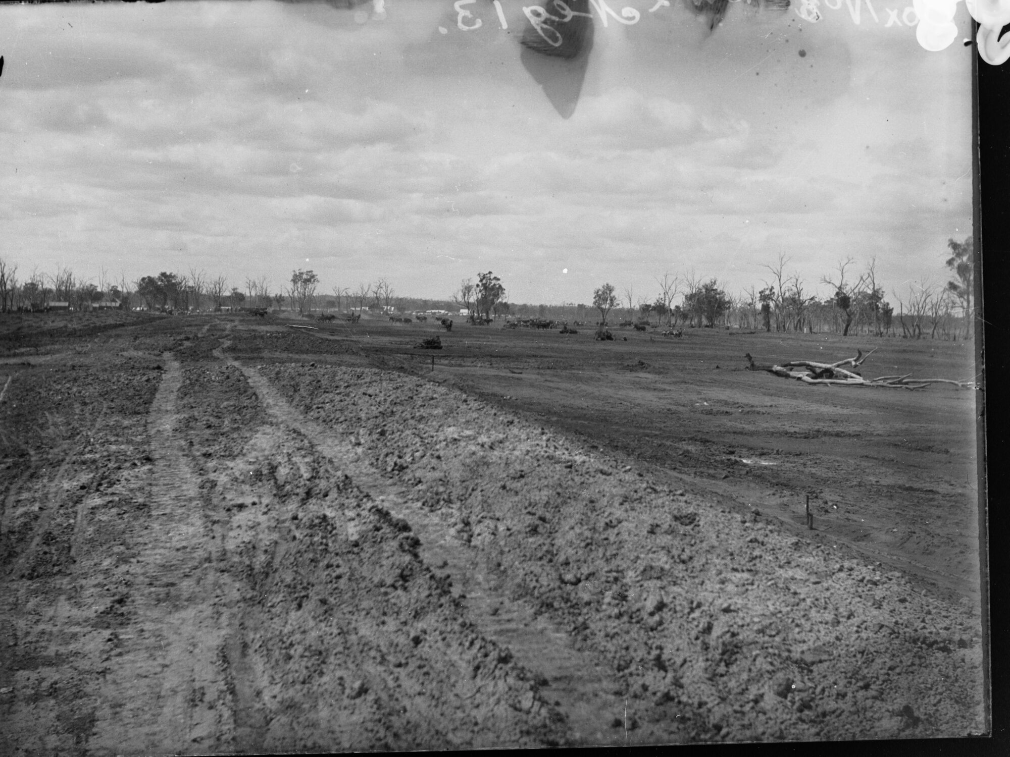 Area surrounding the River Murray at a time of drought