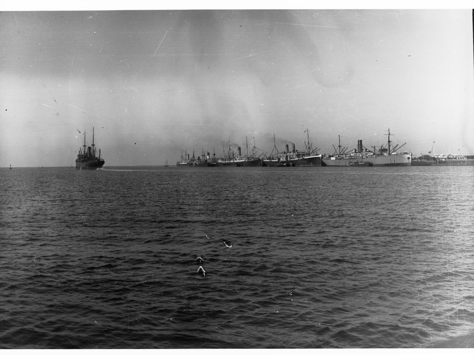 Ships at Outer Harbour
