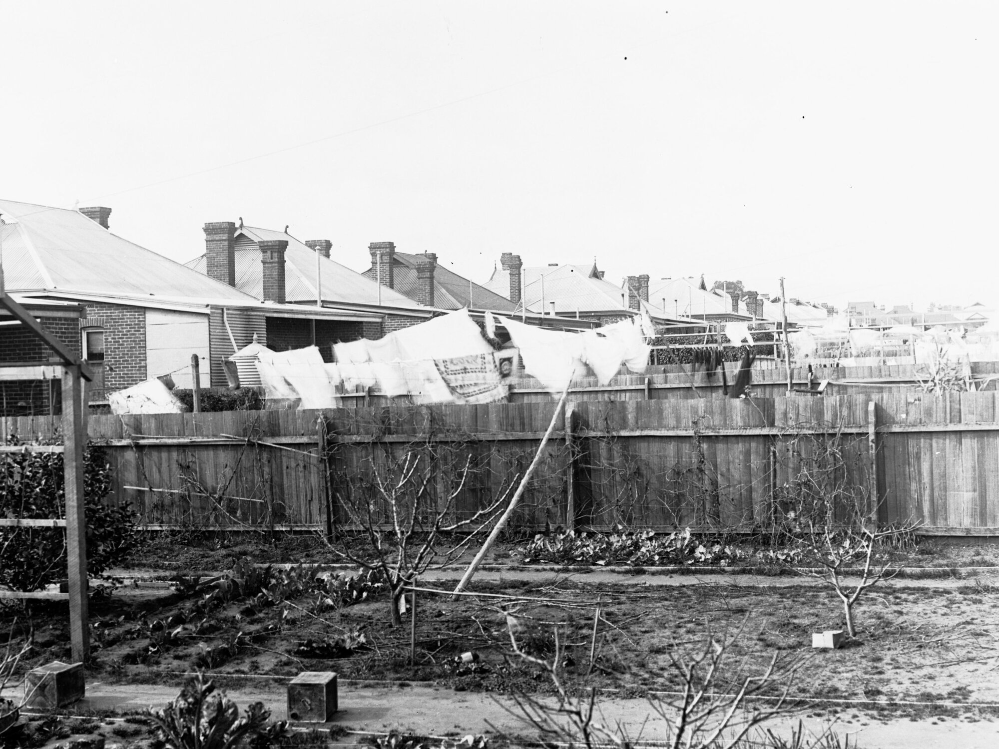 Backyards of houses in Grant Avenue, Toorak - Town Planning negatives Rose Park or Toorak
