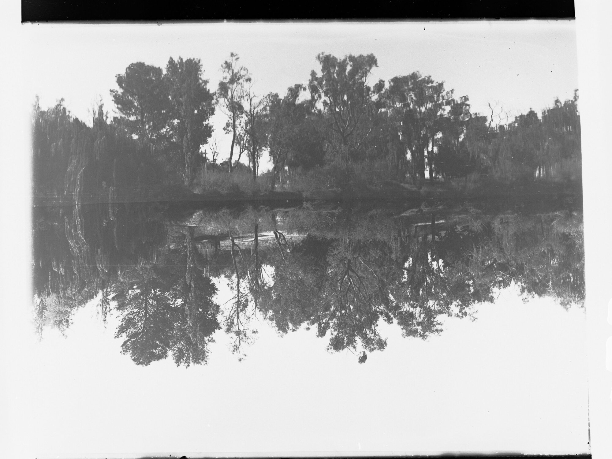 View of the River Torrens