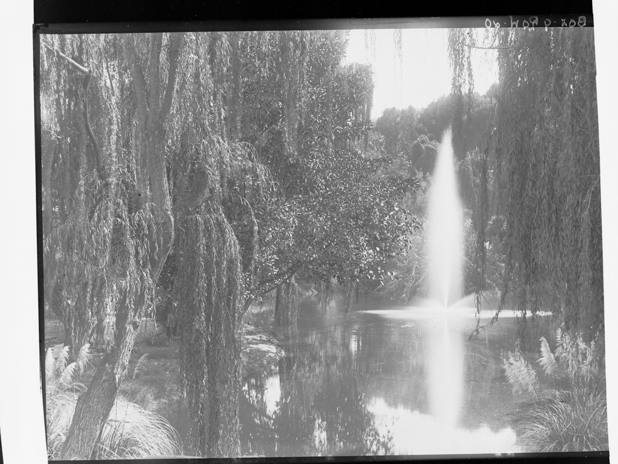 The Botanic Gardens, Adelaide