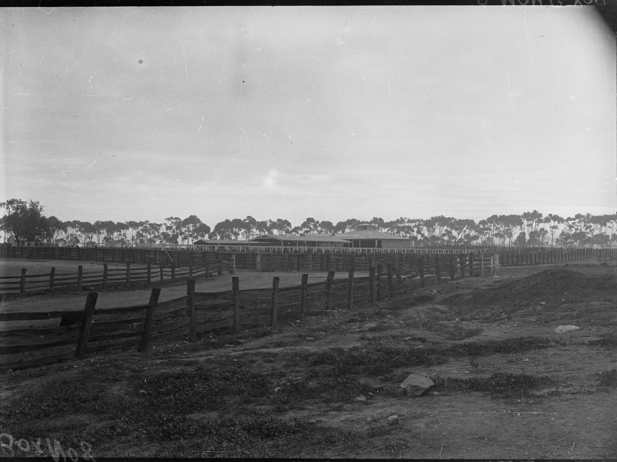 Old sale yards on North Terrace, Adelaide