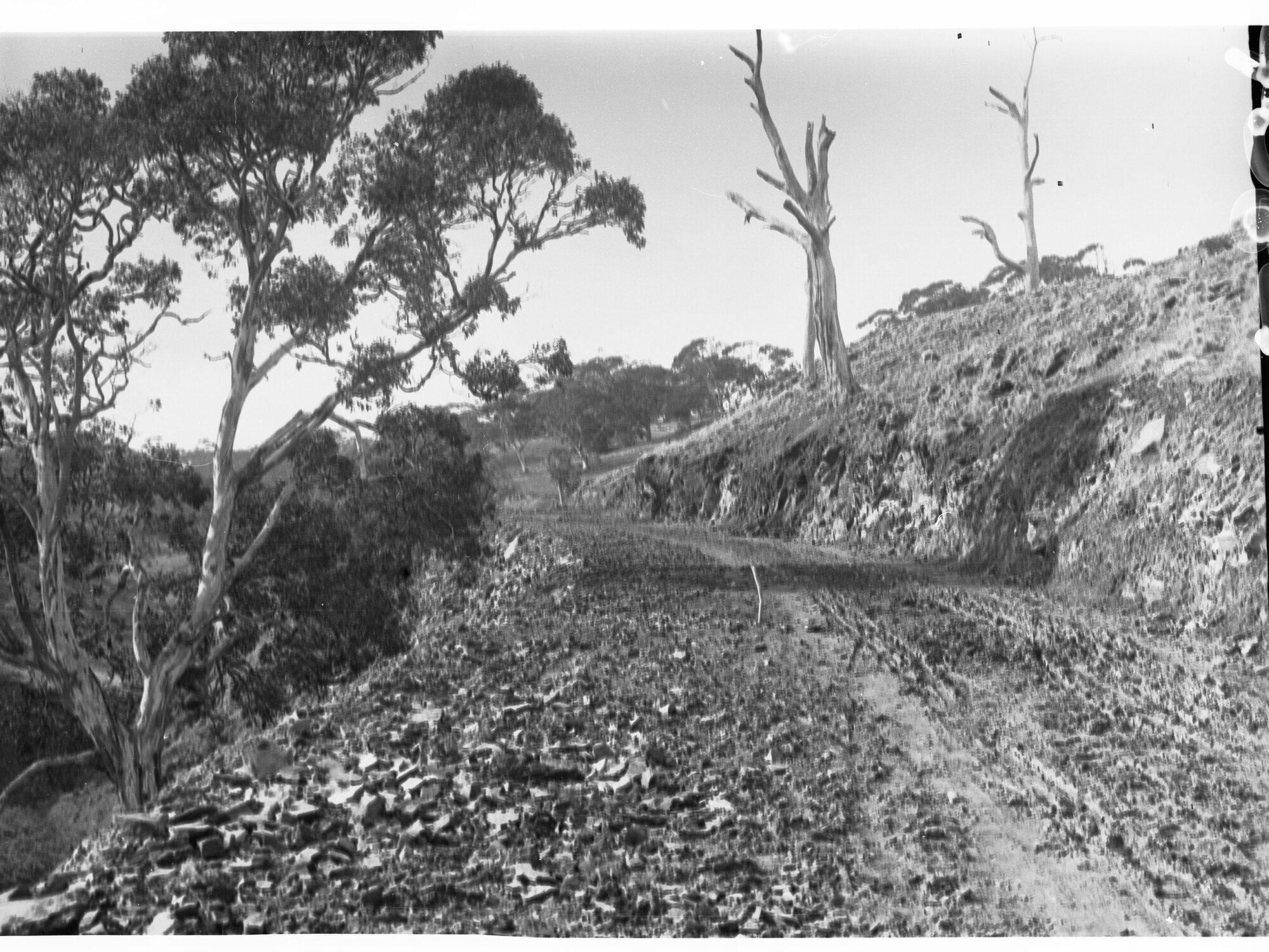 Road Through Rocky Mountainside