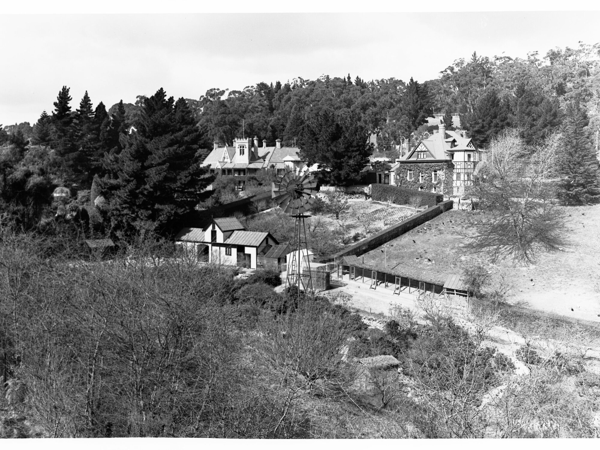 Gardens of Houses at Mount Lofty