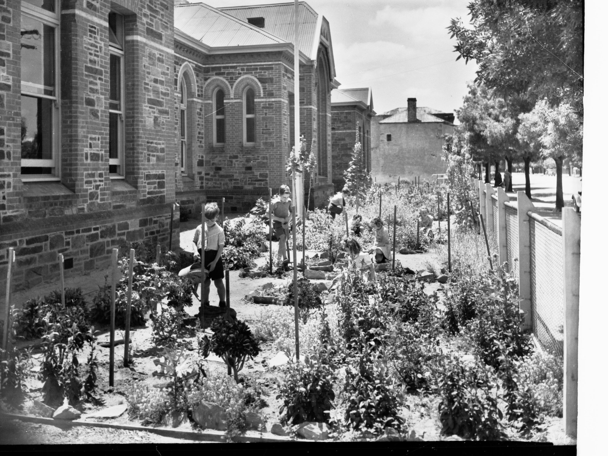 North Adelaide Public School garden, c1945