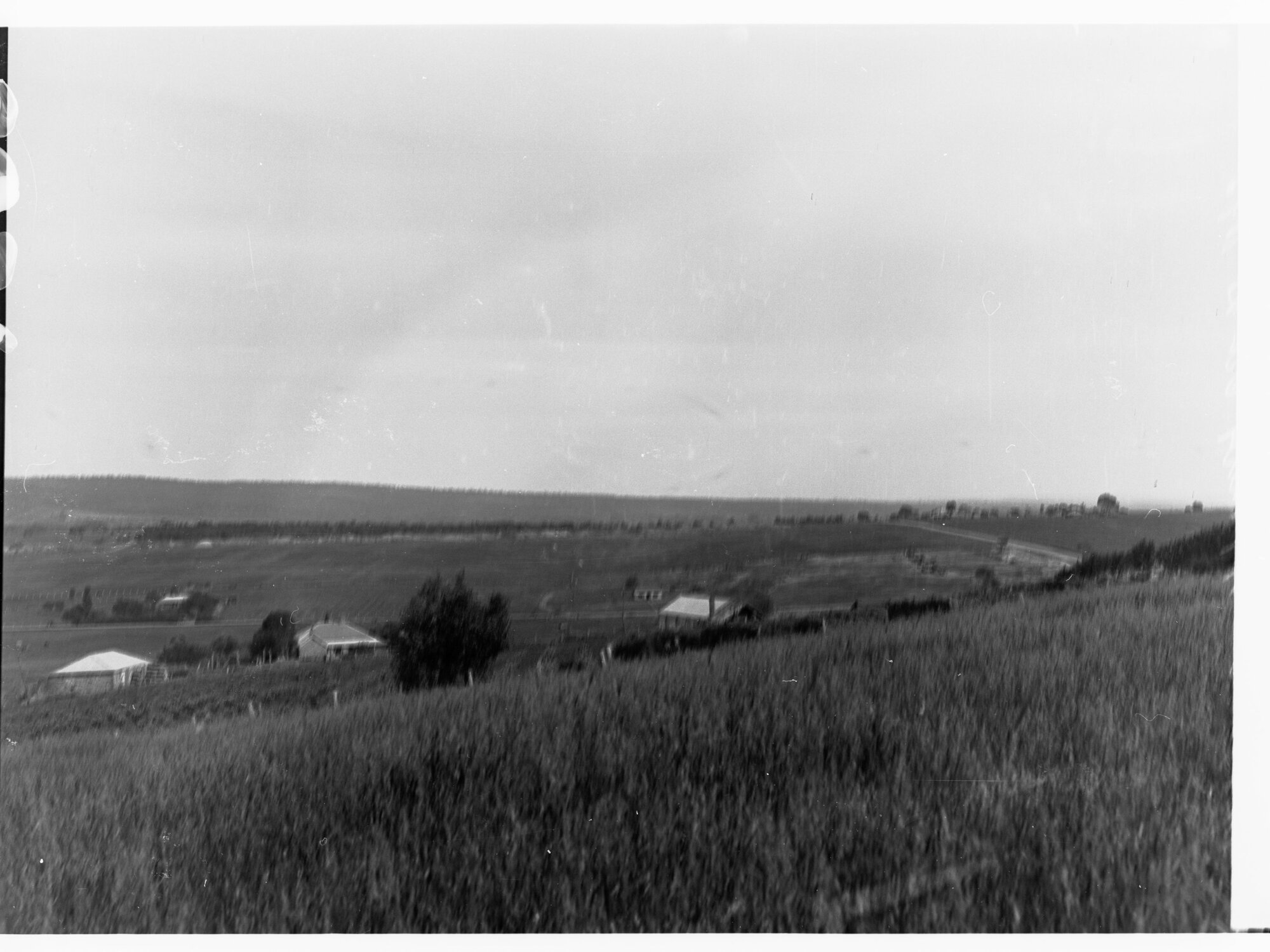 Rural view of Happy Valley - farmhouses and fields