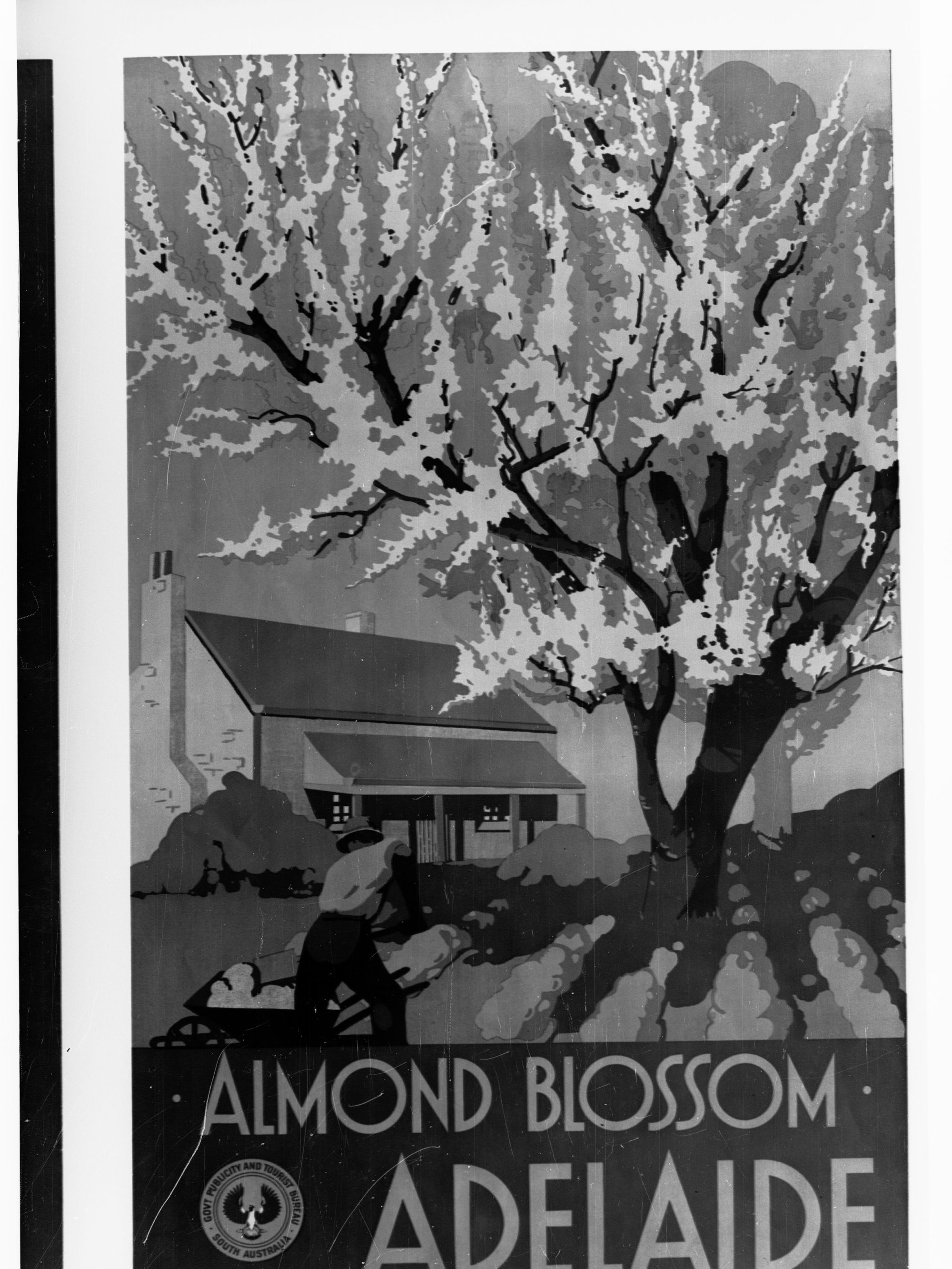 Advertising poster for Almond Blossom - taken for tourist bureau