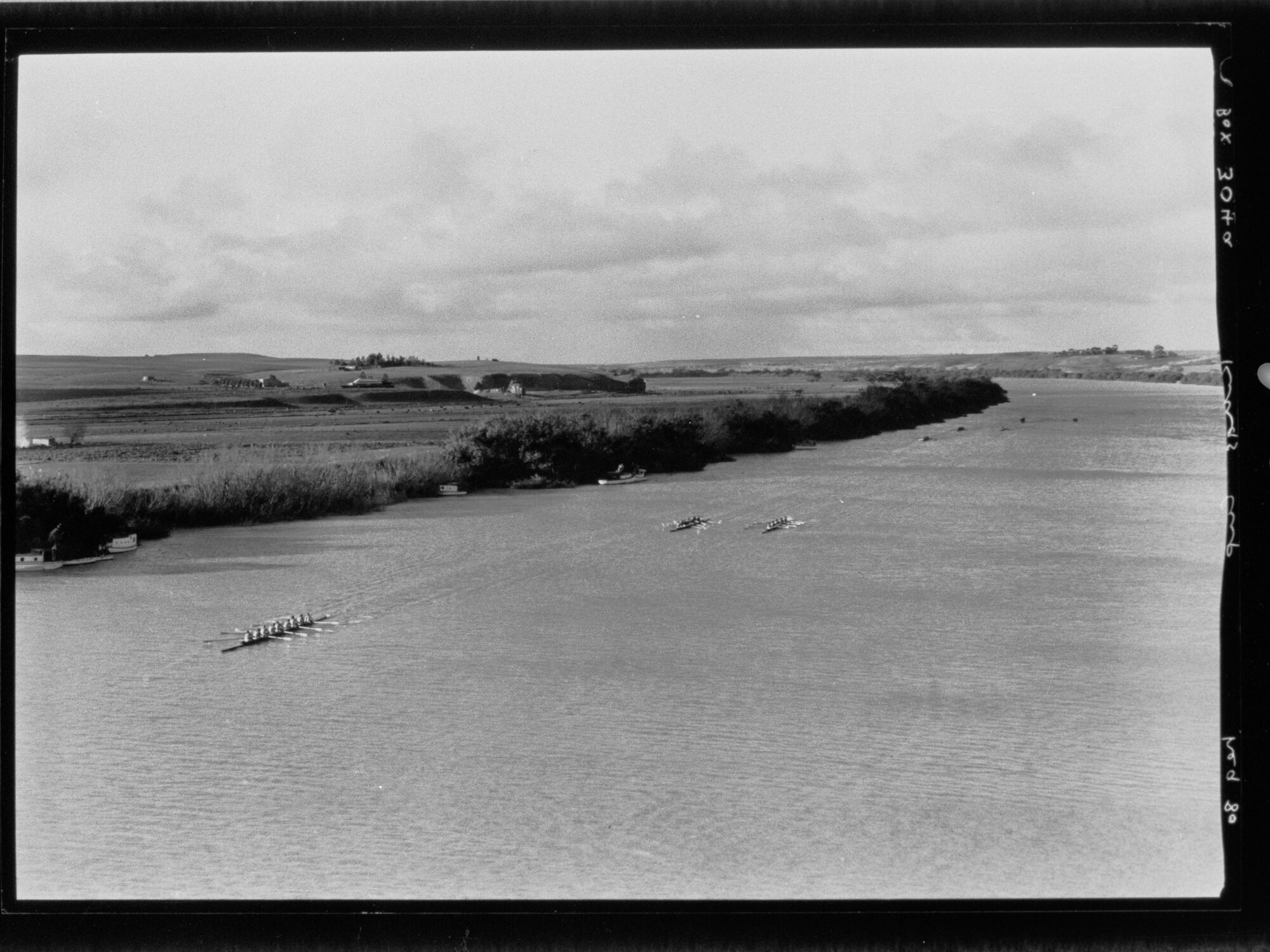 Kings Cup Rowers