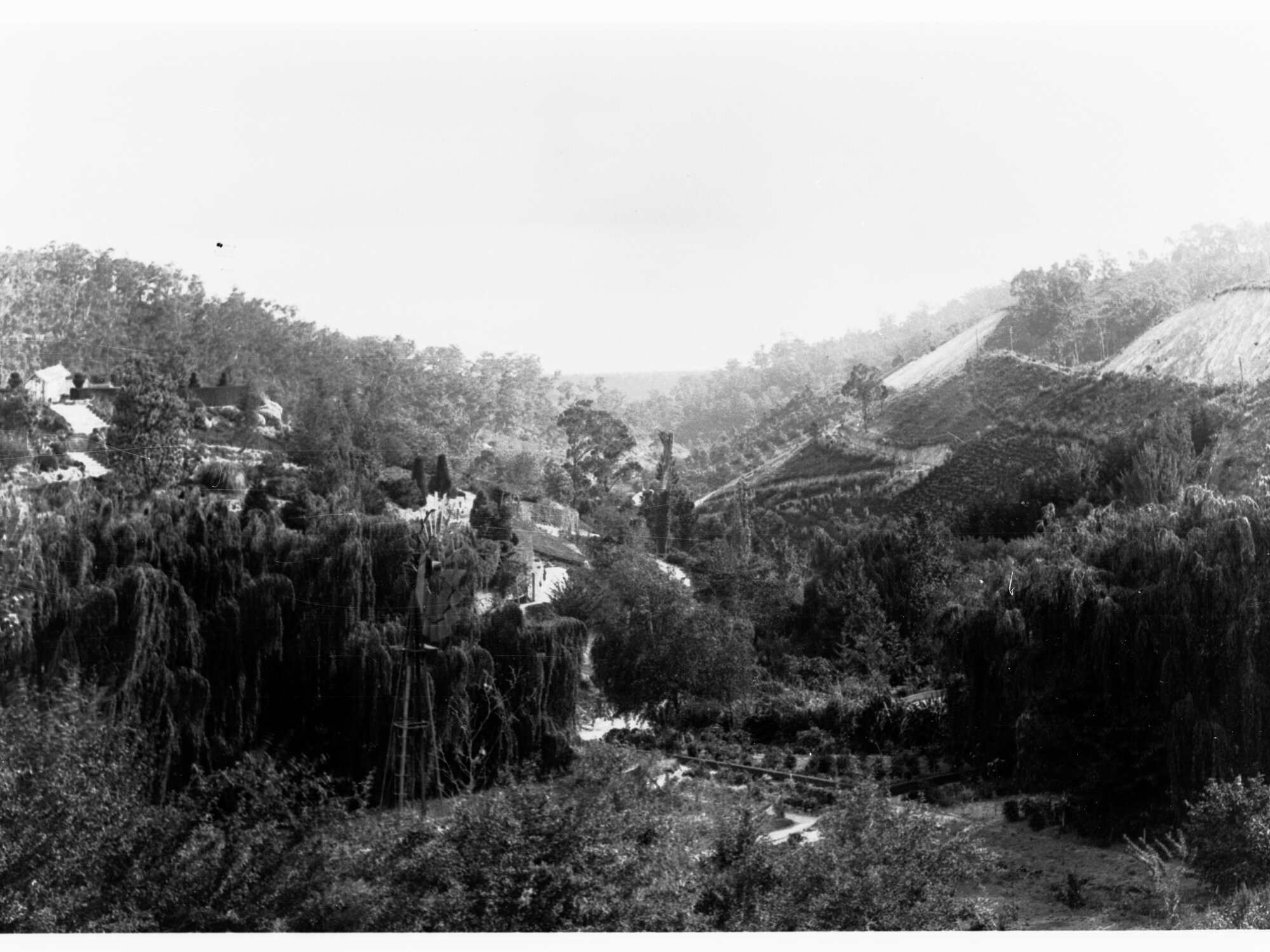 Mount Lofty Ranges showing windmill