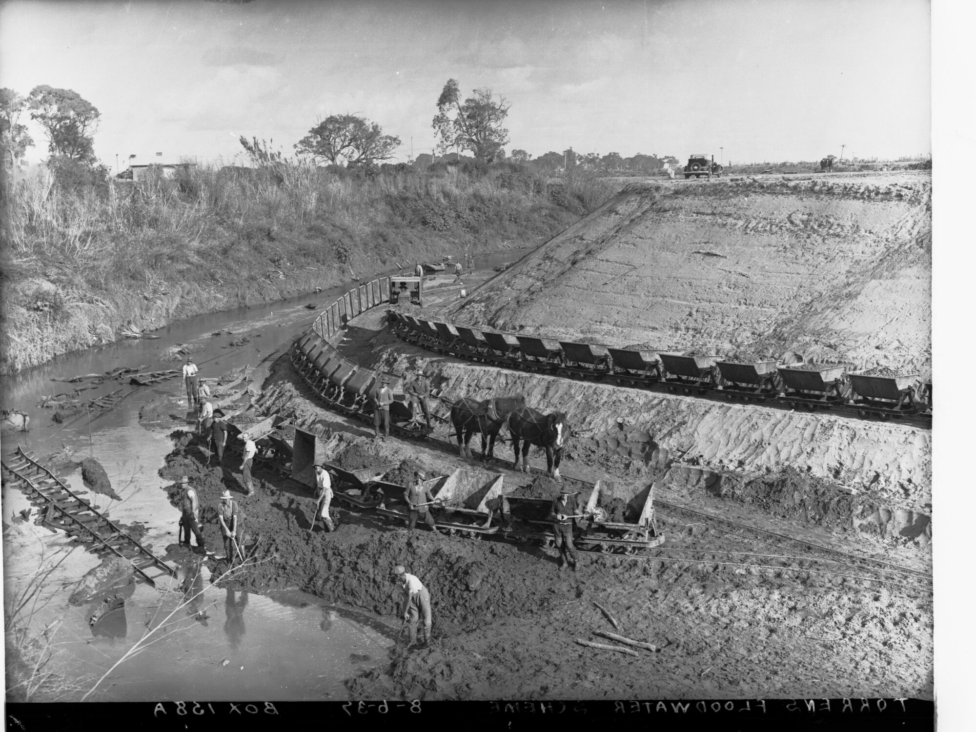 Torrens Flood Water Scheme Showing Horses Pulling Loads and Men