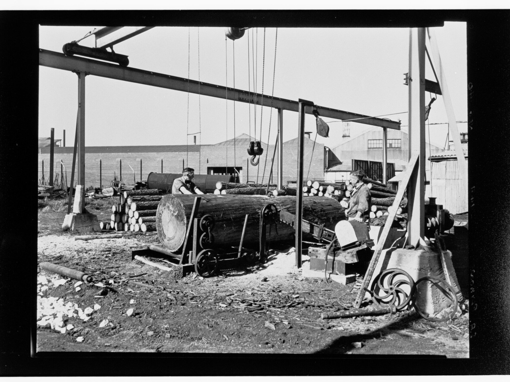 S.A. Plywoods - machine being used to lift logs
