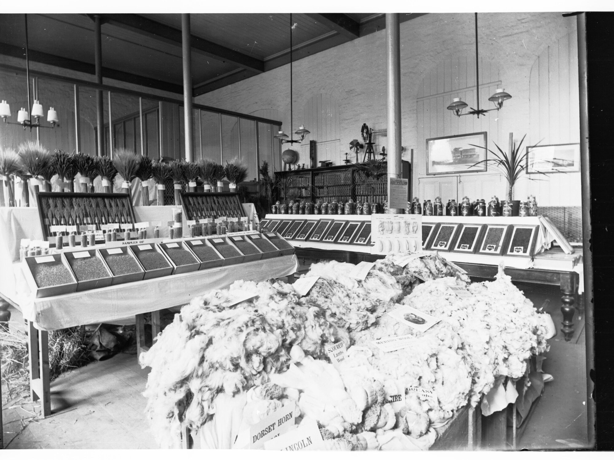Agriculture Exhibit