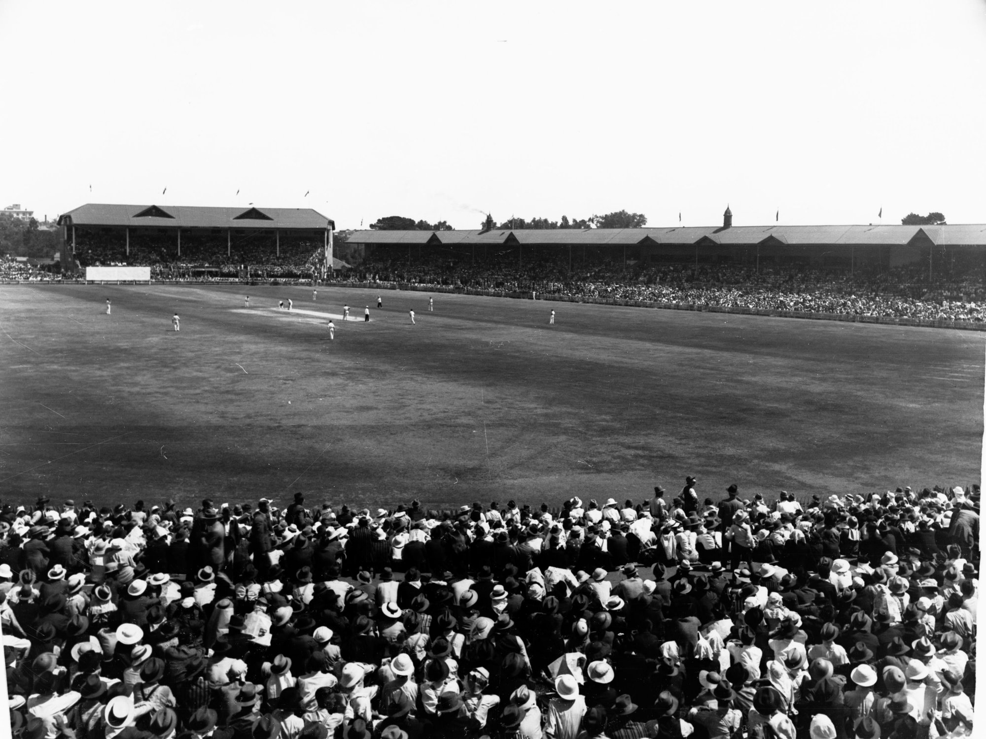 Cricket at Adelaide Oval
