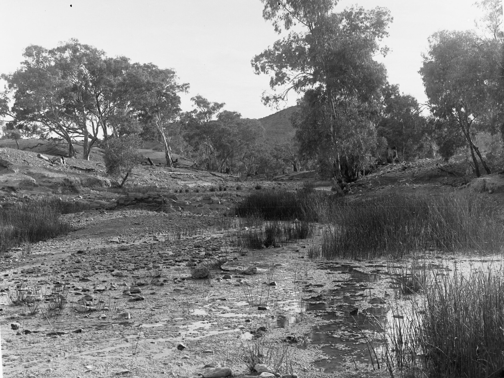 Nepowie Gorge Flinders Ranges