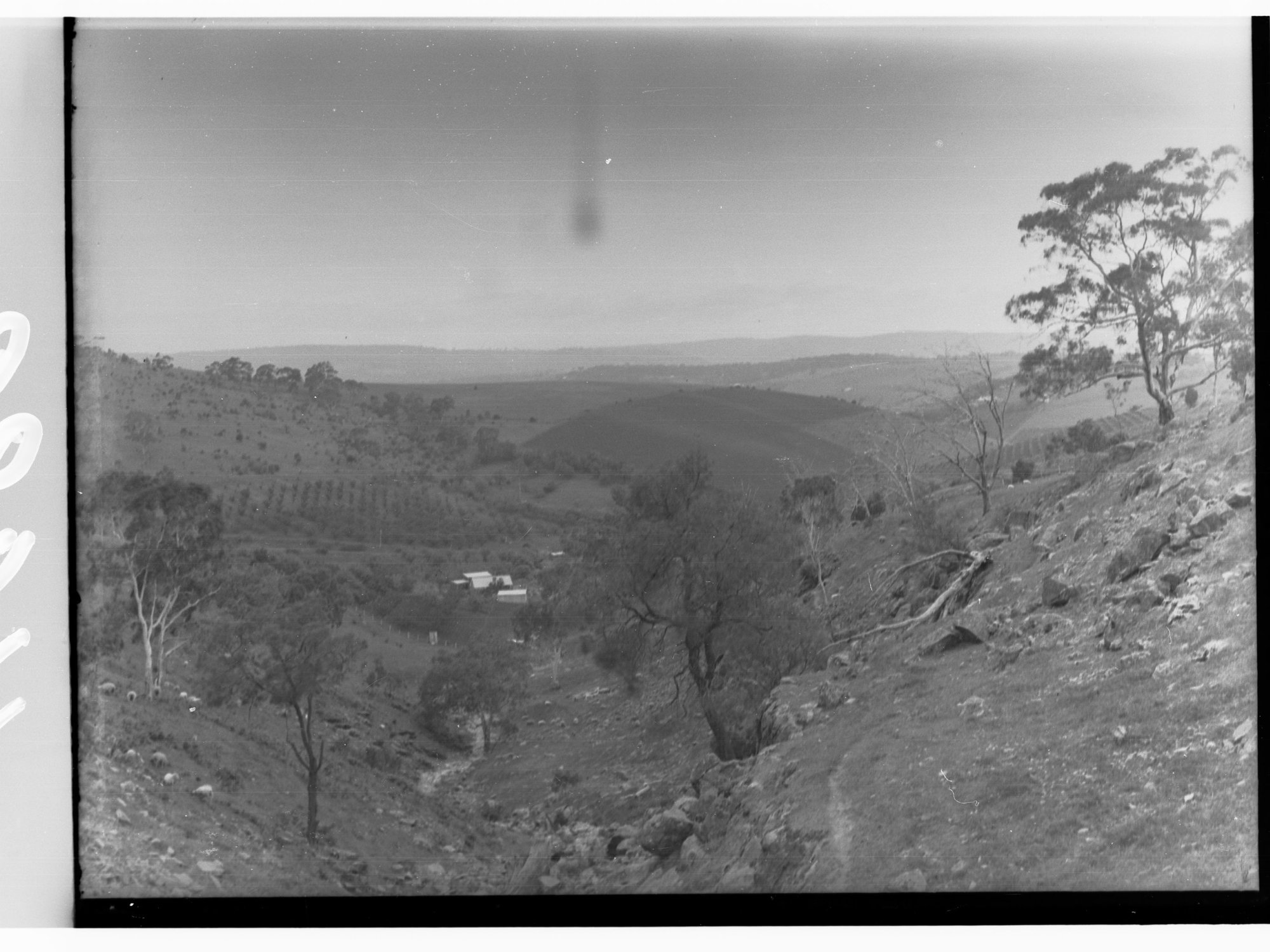 Rural View with homestead