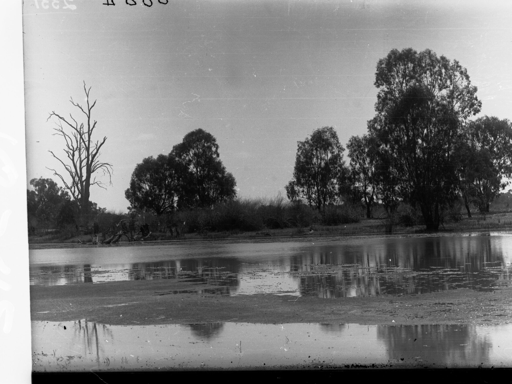 Lagoon at Cobdogla, River Murray