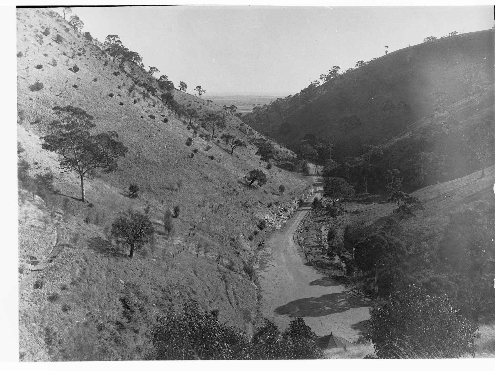 Morialta Reserve