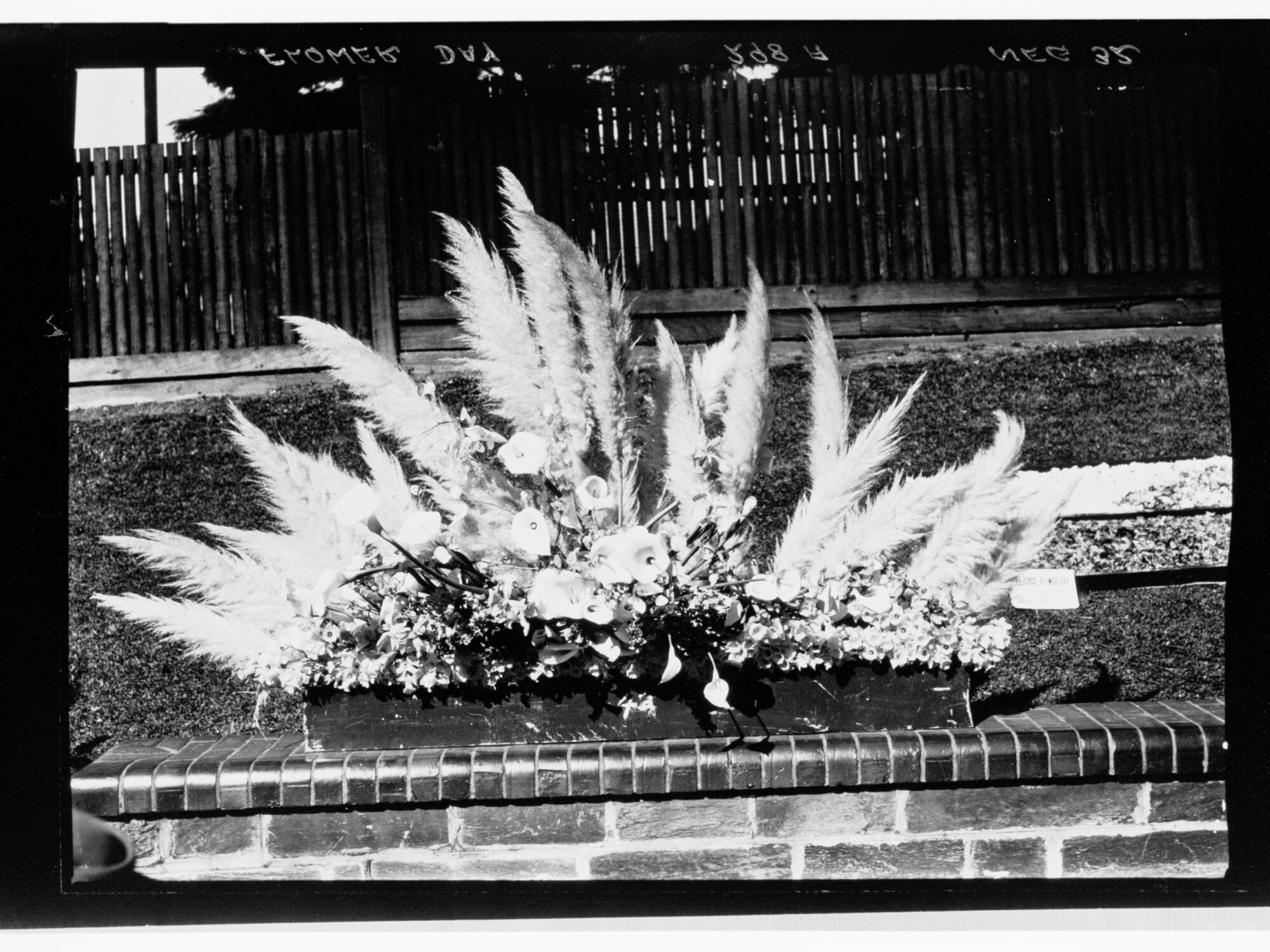 Flower Day - one of the exhibits with flowers and ferns