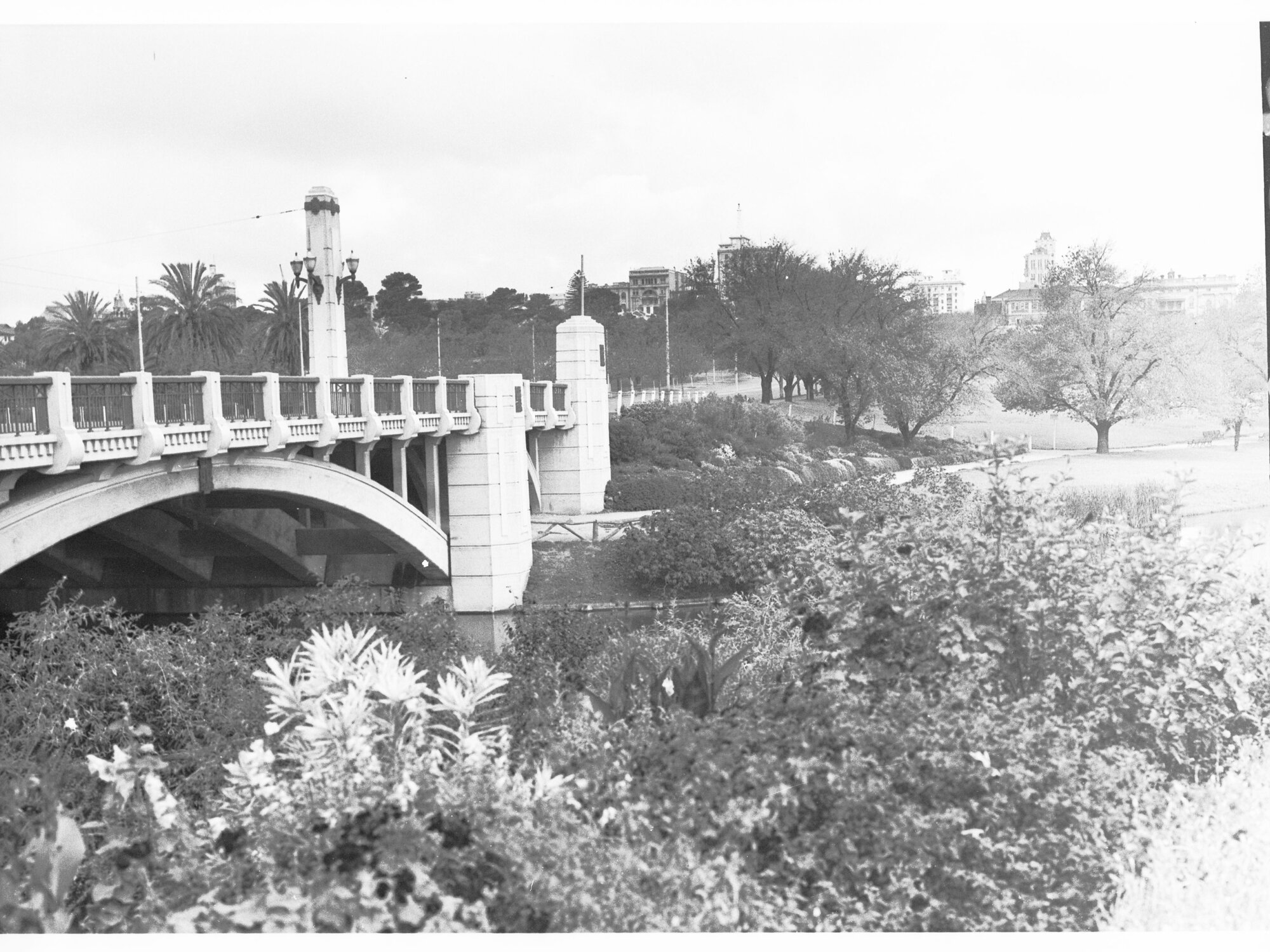 Adelaide from the northern bank of the River Torrens
