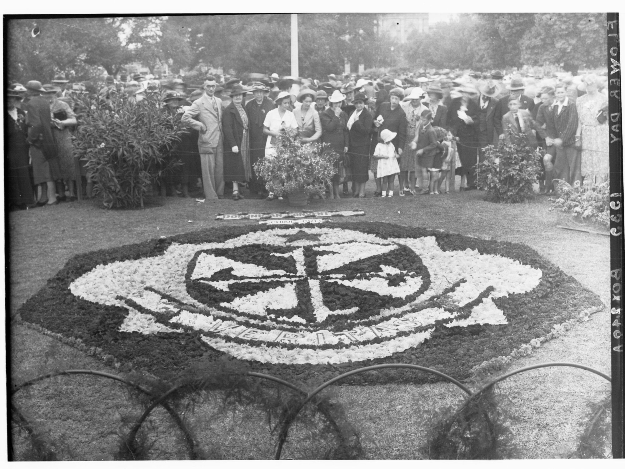 Victoria Square showing a crowd of people gathered around a floral display, Flower Day