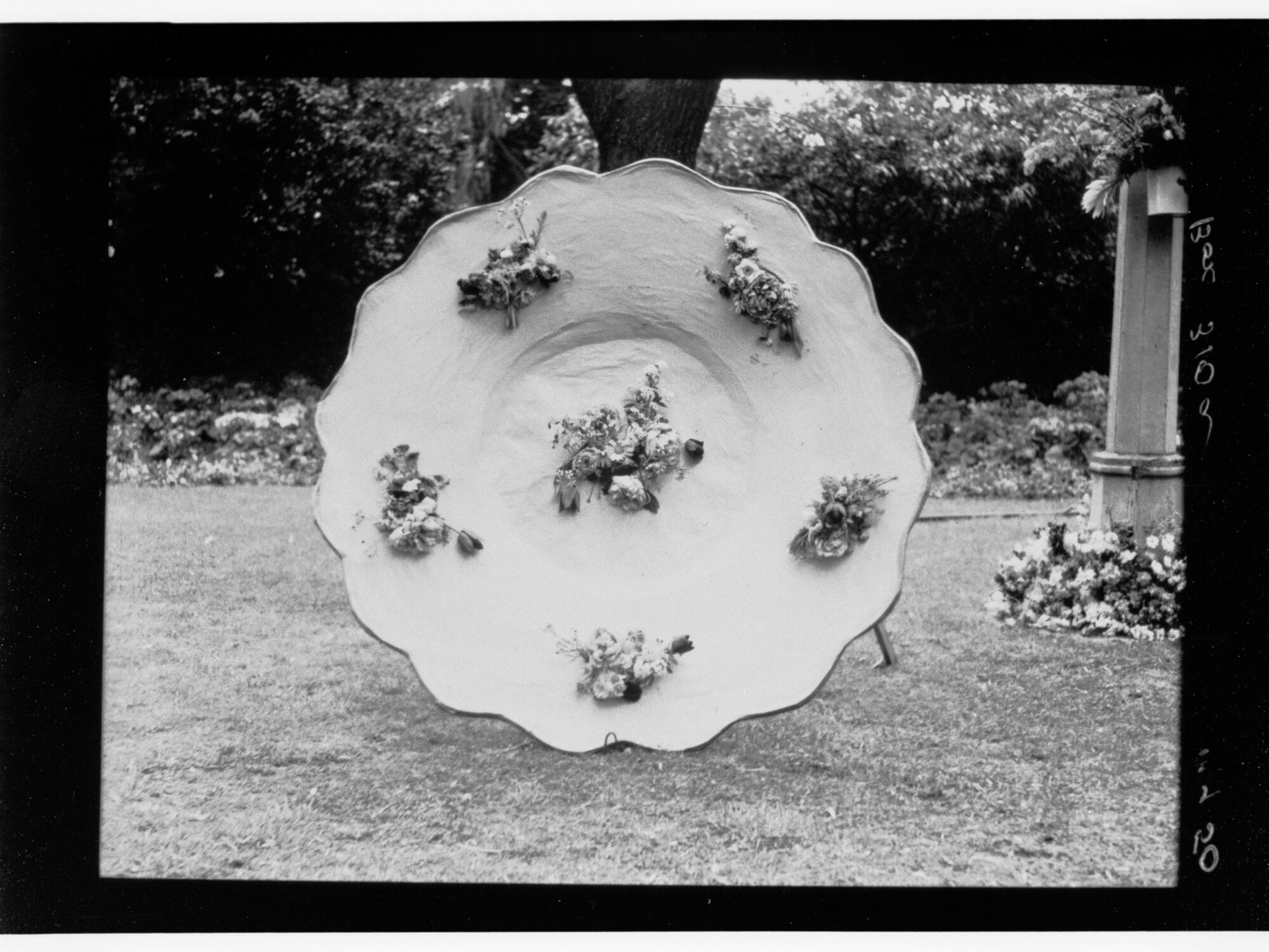 National Flower Day Festival held in Adelaide on the 21st September 1949