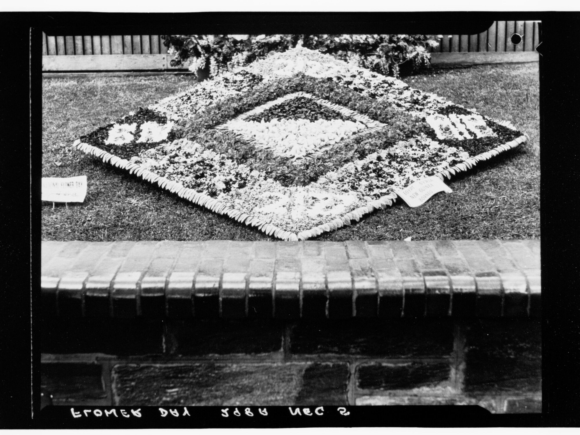 Flower Day - display in ground (Egypt, Syria, New Guinea, Borneo)