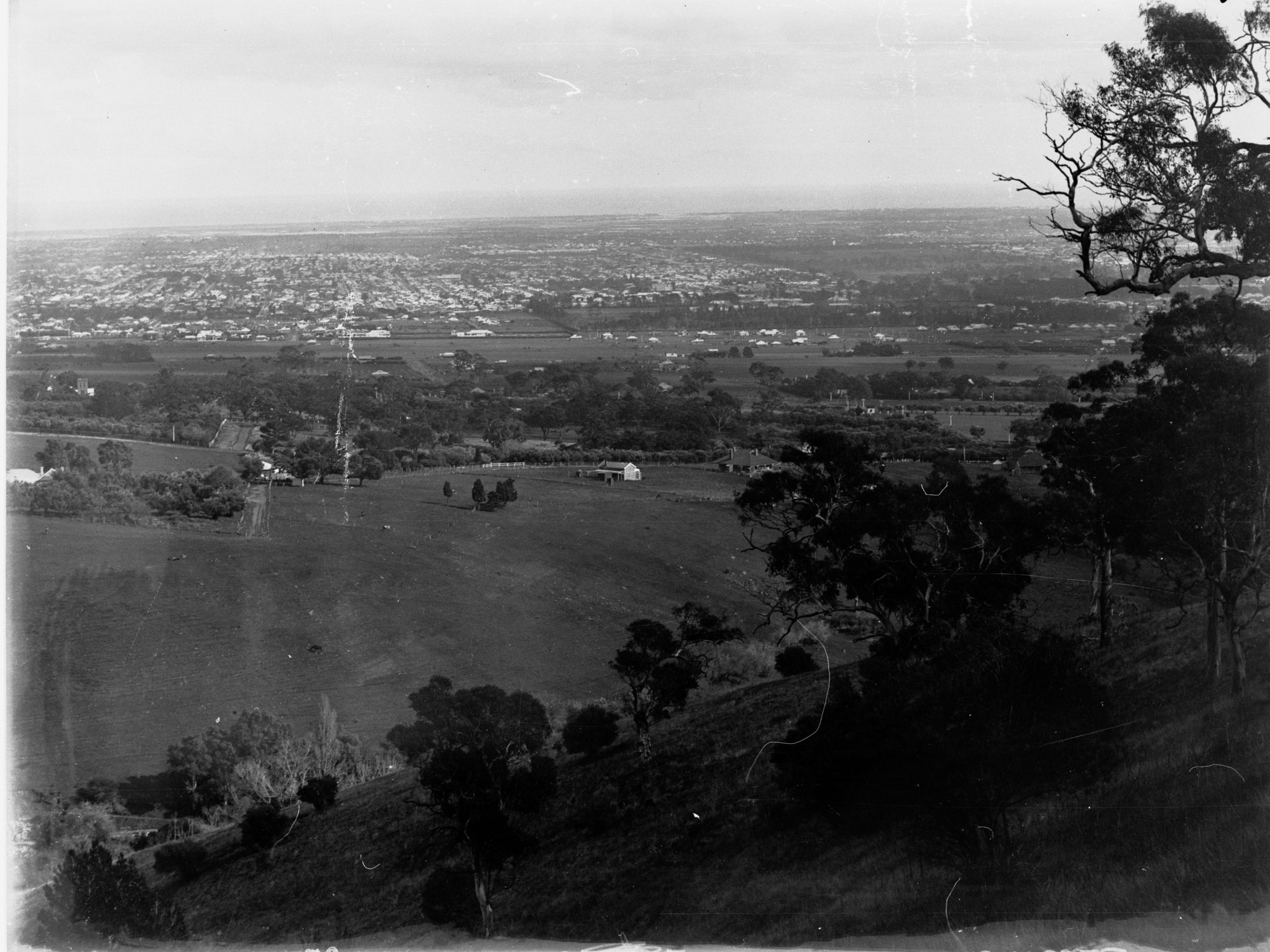 Adelaide panorama from Mount Lofty Ranges - circa 1917