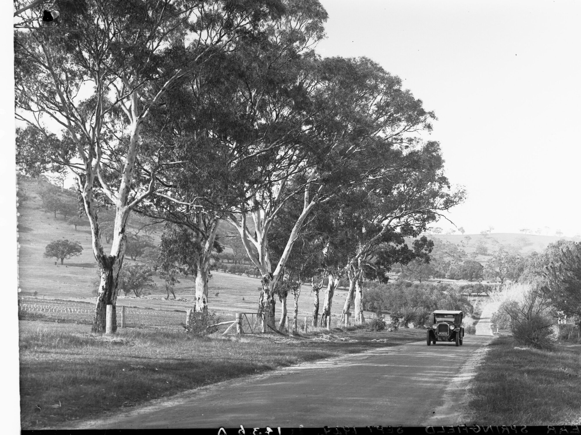 Automobile on Road Near  Springfield