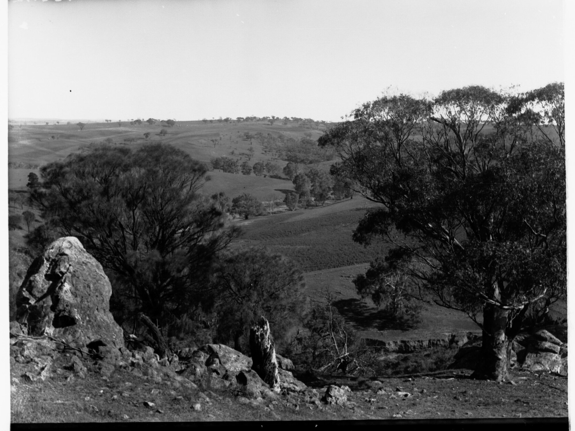 Rural View of Turretfield
