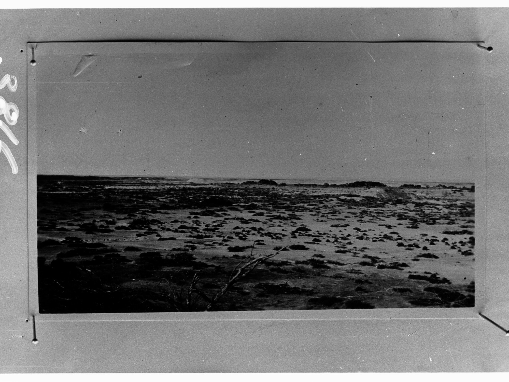 Rural view - location unknown, no information recorded