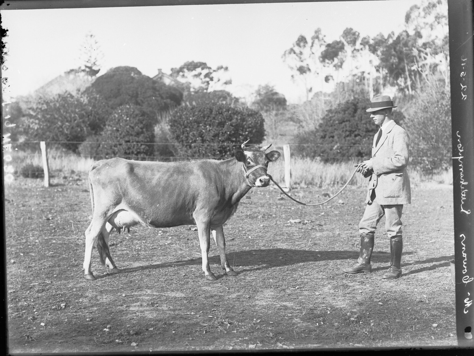 Mr Cowan's property at Littlehampton 