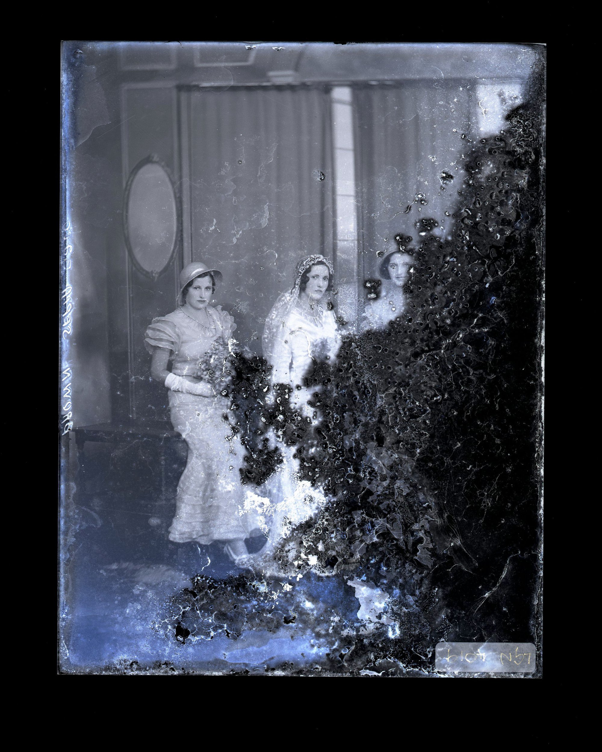 Three Bridesmaids - Brown