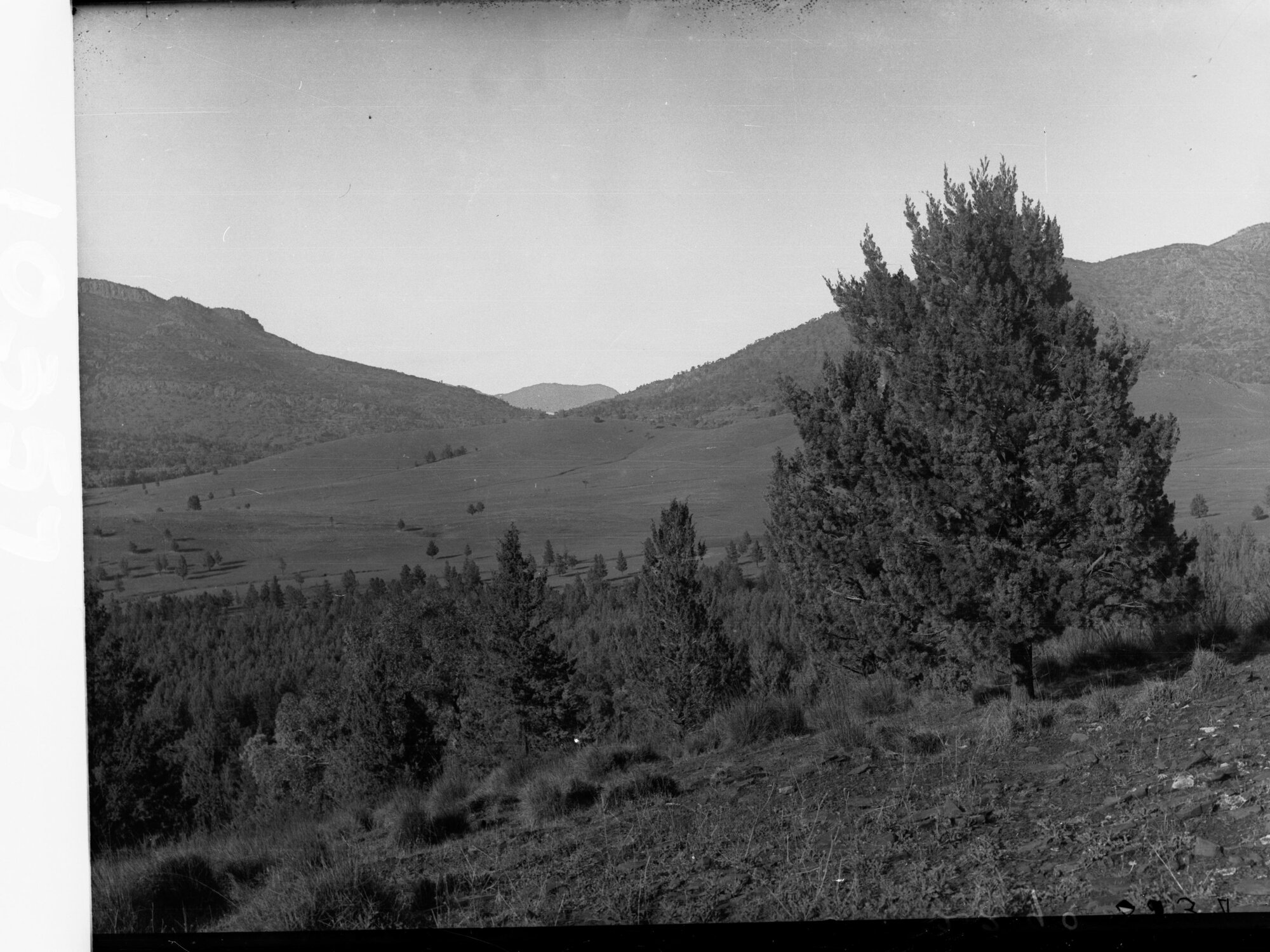 Entrance to Wilpena Pound, Flinders Ranges