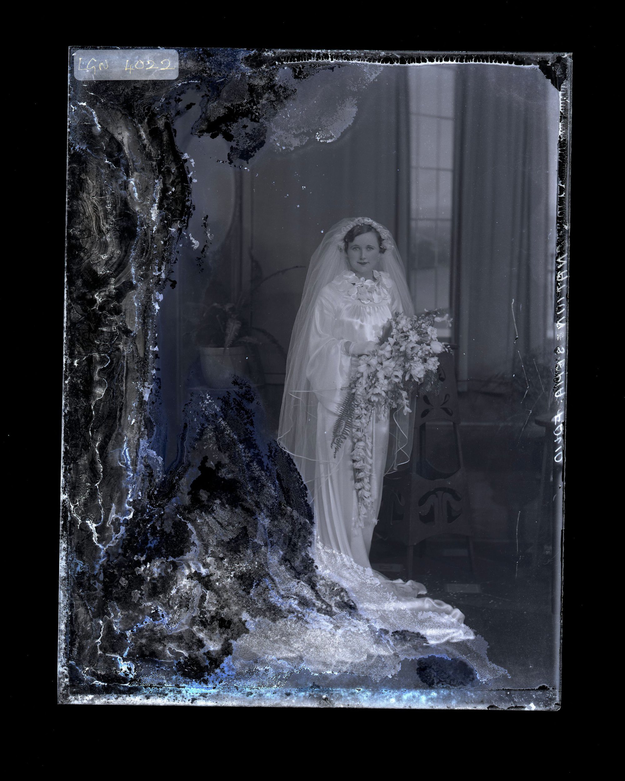 Bride - Nation