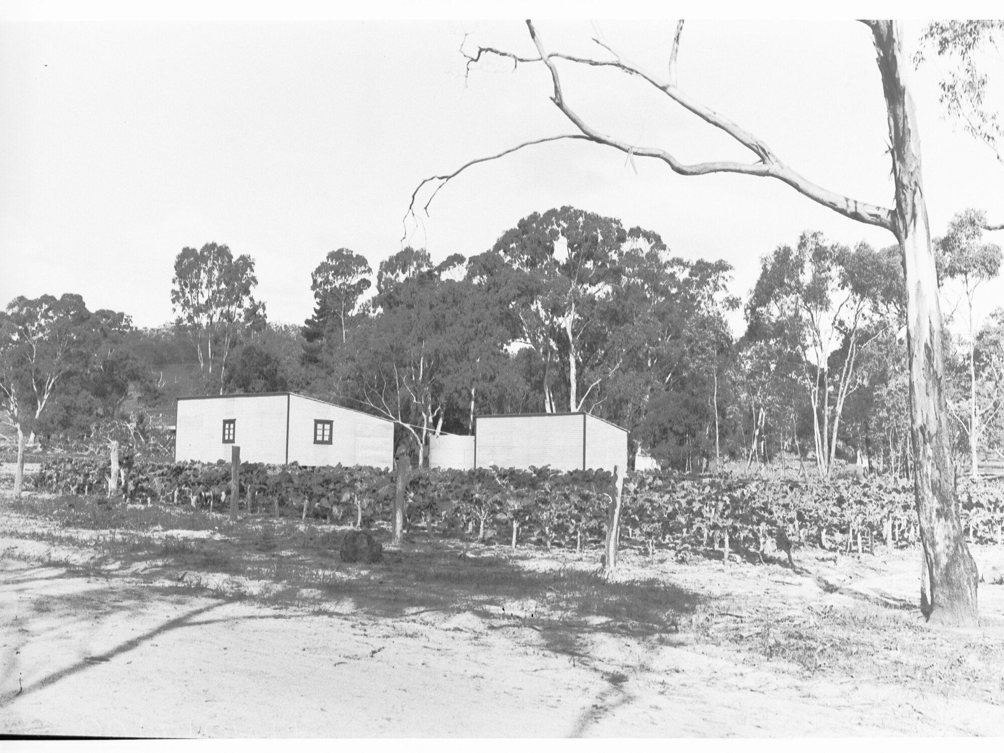 Farmhouse in the Adelaide Hills - poultry farming