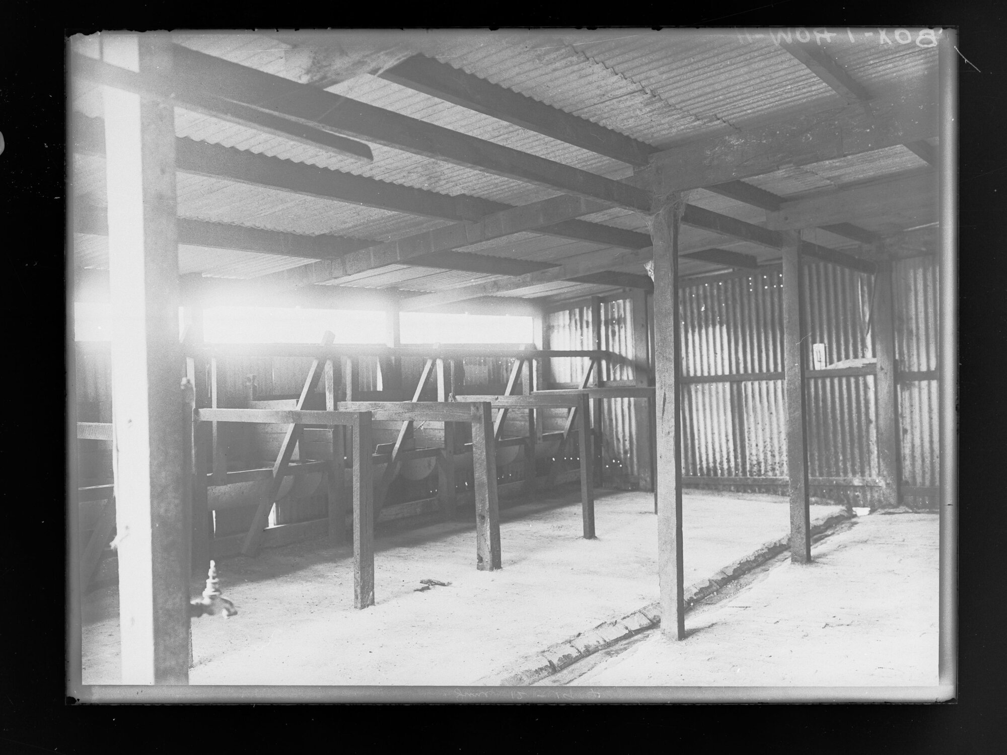 Inside of a cow shed