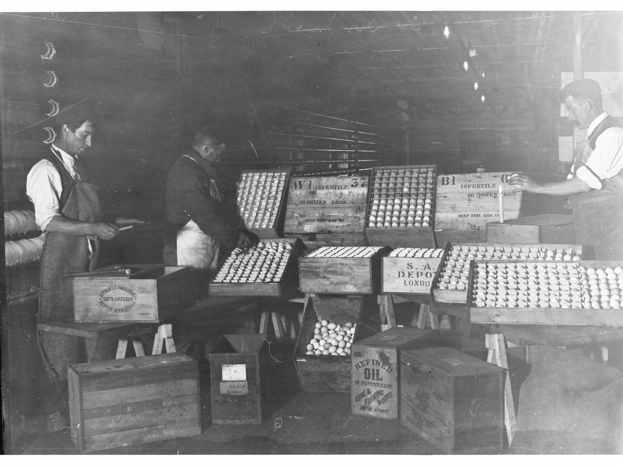 Egg Chamber of Government Export Department at Port Adelaide